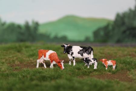 HVPS202 VPS Holstein Zwartbond en Roodbond 4 stuks